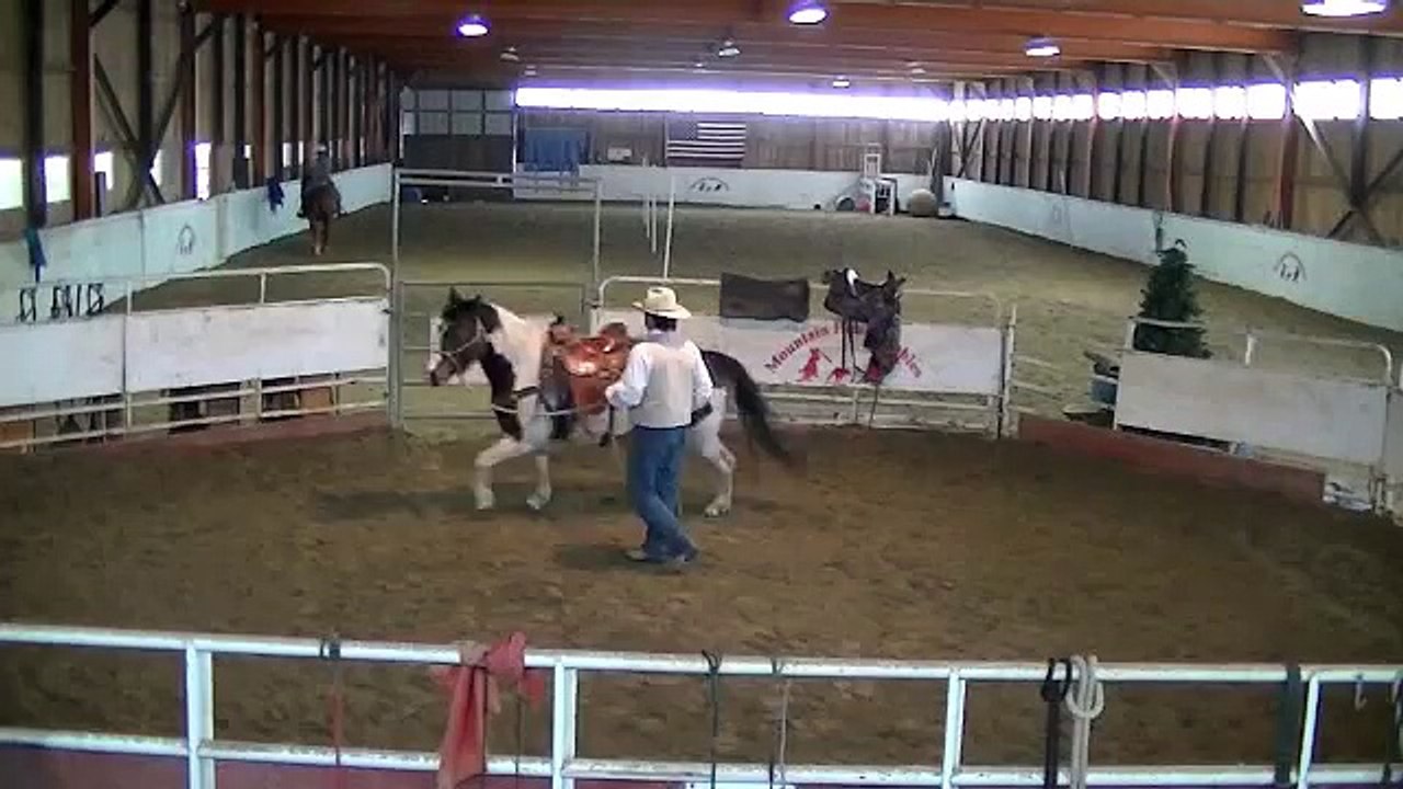 Horse Training