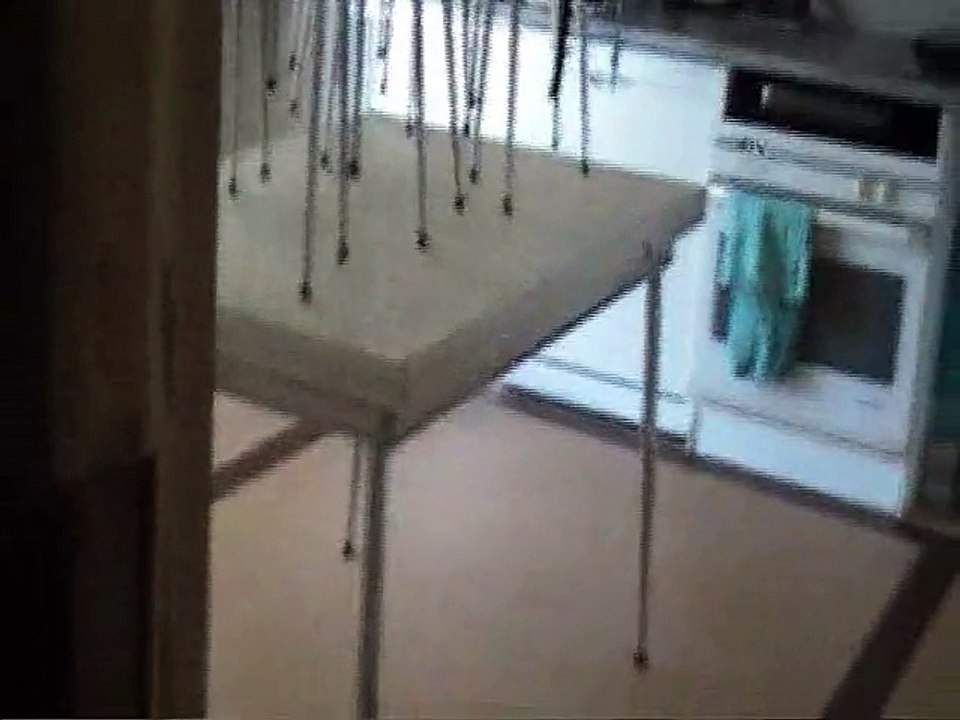 rencontre entre Tomtom & Nana  & Balto & Jenna