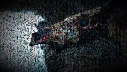 Cow's Head - Japanese Urban Legend