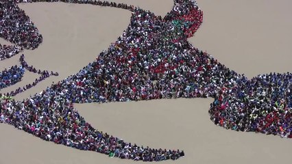 Ocean Day 2011 ~ rough cut