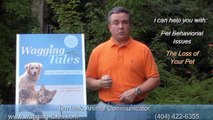 About Tim Link, Animal Communicator, Wagging Tales, Animal Communication