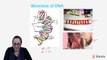 HSC Biology - Gene Expression and DNA - Genetics: The Code Broken? - Lesson 1/13