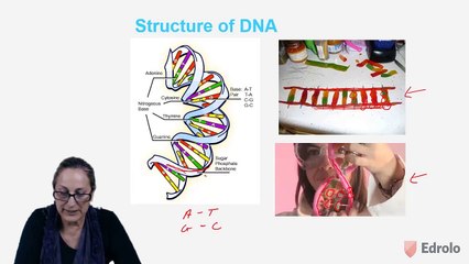 HSC Biology - Gene Expression and DNA - Genetics: The Code Broken? - Lesson 1/13