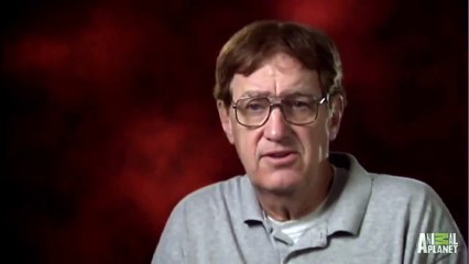 Animals Take Over Ohio Town   Fatal Attractions