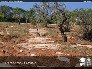Sustaining Livelihoods and Land Resources in Olive Mountains-Syria.wmv