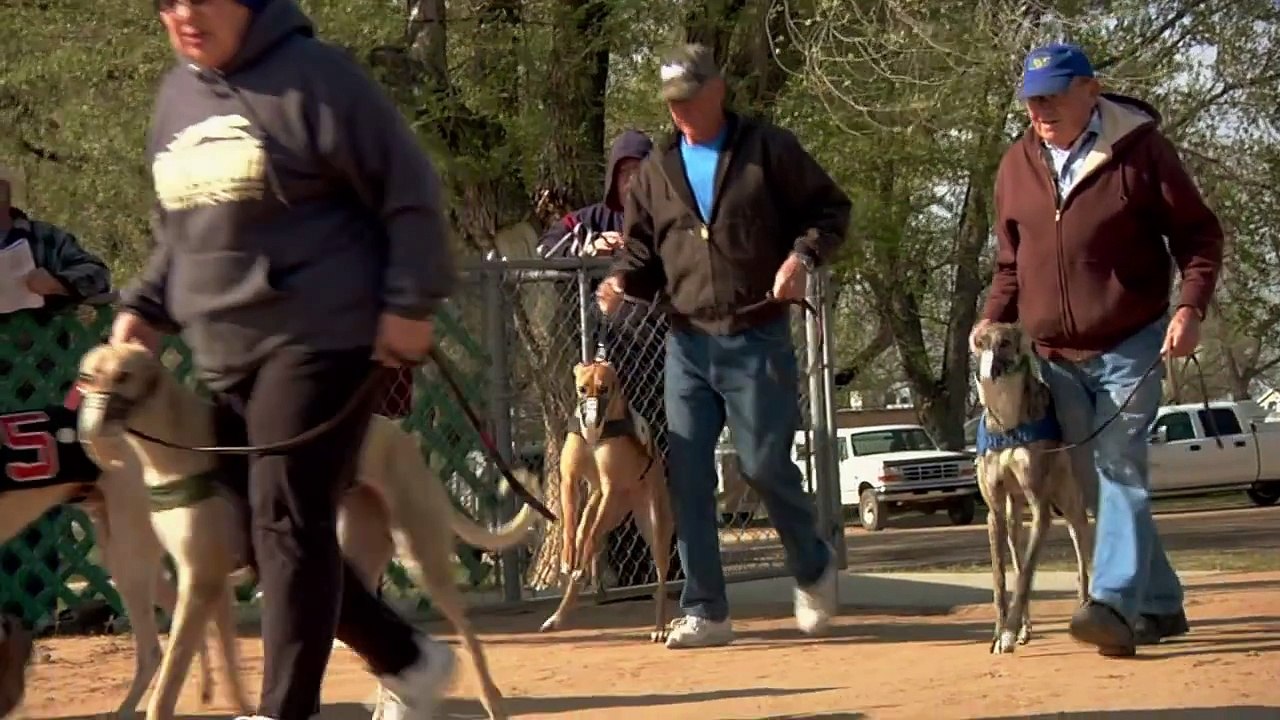 GREYHOUND: Racing Into The Light (New Trailer)