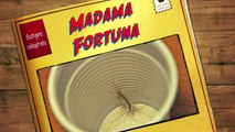 Madama Fortuna (Scutigera coleoptrata), insetto domestico