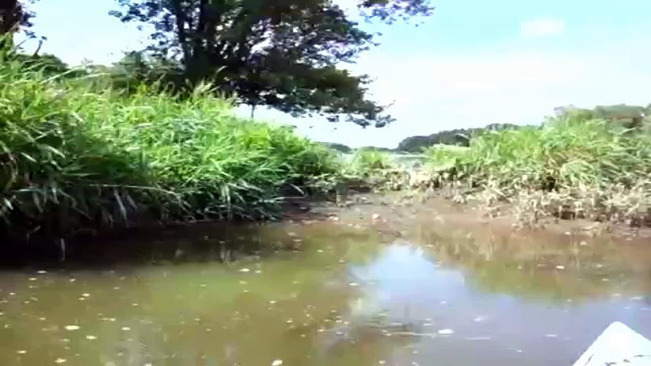 Polak karmi krokodyla w USA [HQ] pa jaki szwagier !! PL