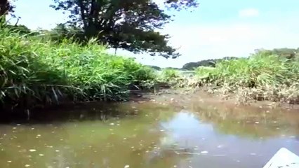 Polak karmi krokodyla w USA [HQ] pa jaki szwagier !! PL