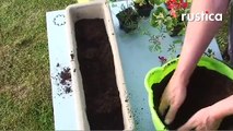 Planter une jardinière de fleurs