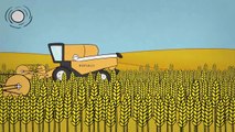Agrocarburants : change the script !