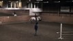 Horse jumping, training, Cassiranko