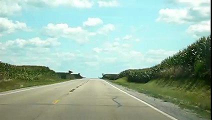 Corn fields of Illinois