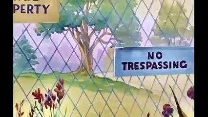 Tom and Jerry Cartoon   Smarty Cat 2015