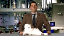 Guys Can Be Cat Ladies Too by Michael Showalter (Episode 1)