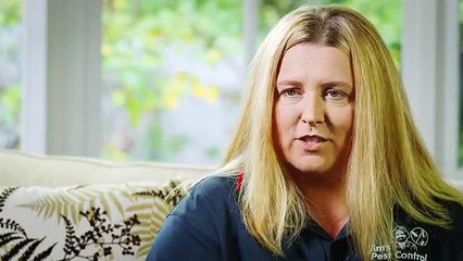 Jim's Pest Control Brisbane