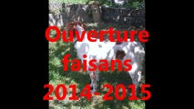 OUVERTURE CHASSE PETIT GIBIER 2014-2015