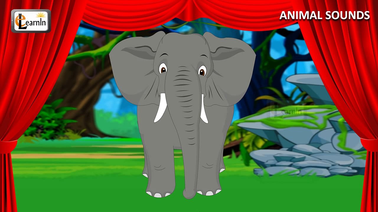 Sounds of Animals Animal sound effects of real animals Kindergarten  Learning videos playlist - video Dailymotion