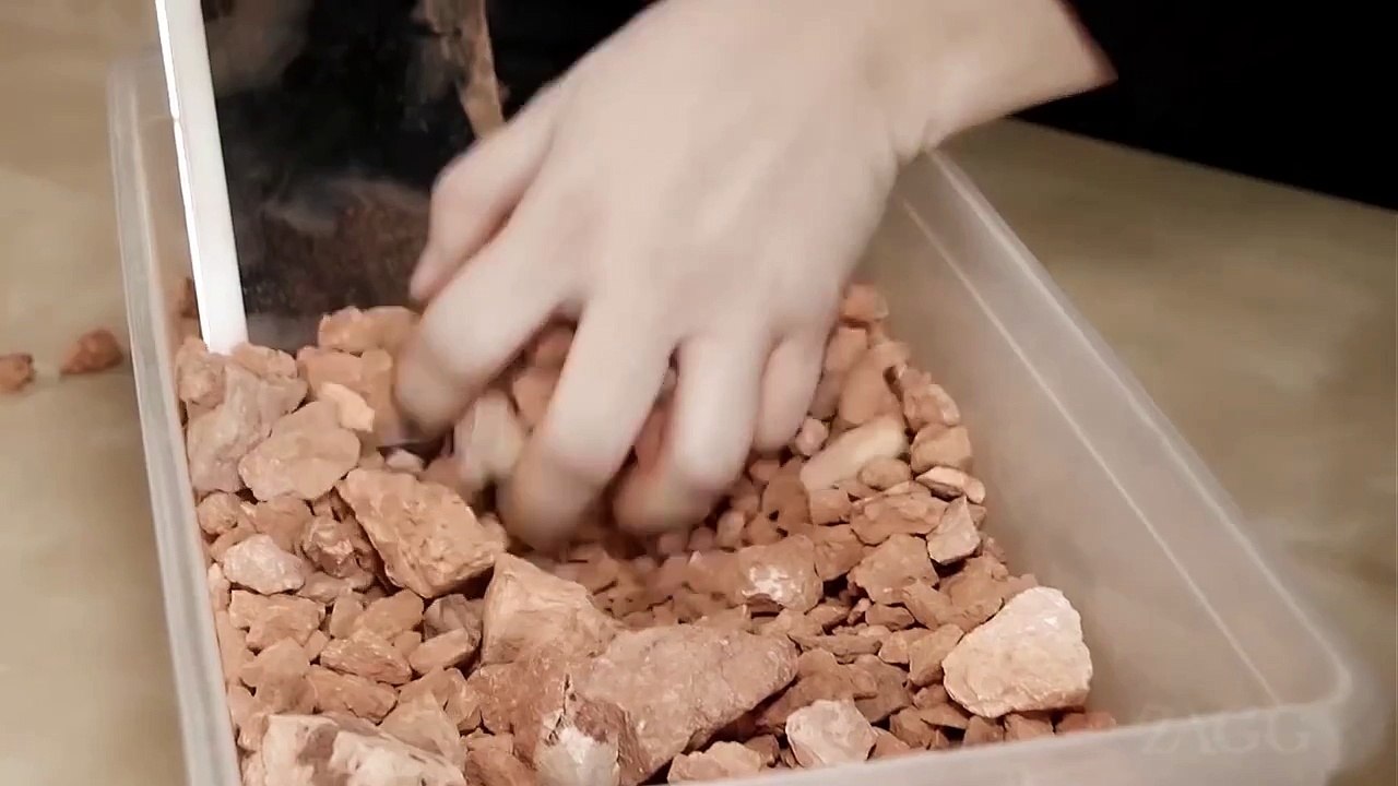 iPad Air Scratch Test With ZAGG invisibleSHIELD