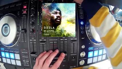 Selekta Faya Gong - A Living Riddim