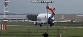 Airbus Beluga, el avion más grande del mundo