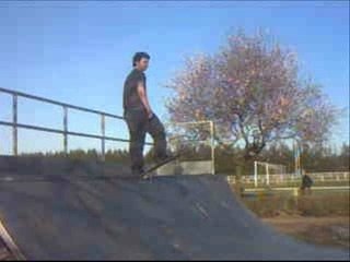 Legalize crew skating
