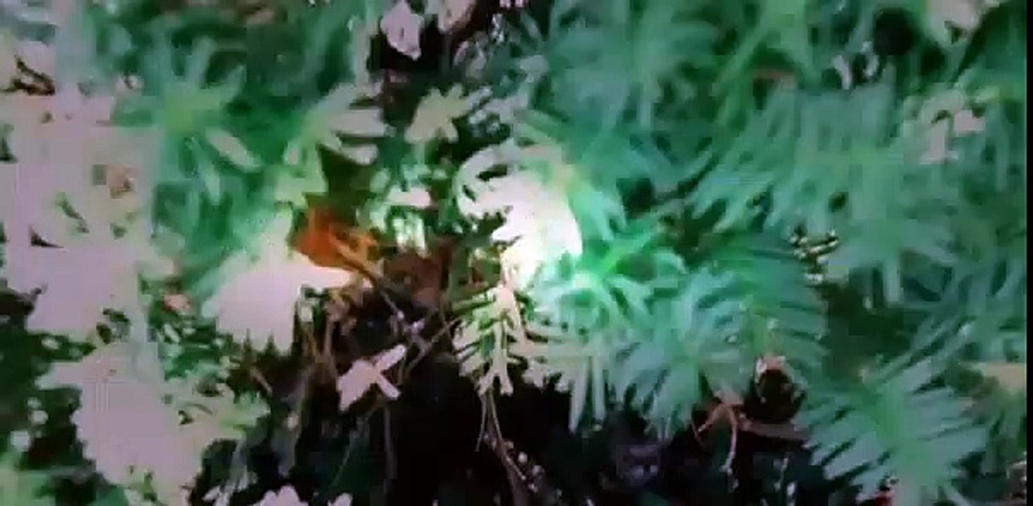 Cats Make You Laugh Out Loud 2 S01E01