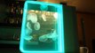 Cubic Jellyfish Tank with Moon Jellyfish (HD)