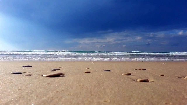 Красивый пляж. Море, песок, ракушки. Футаж.