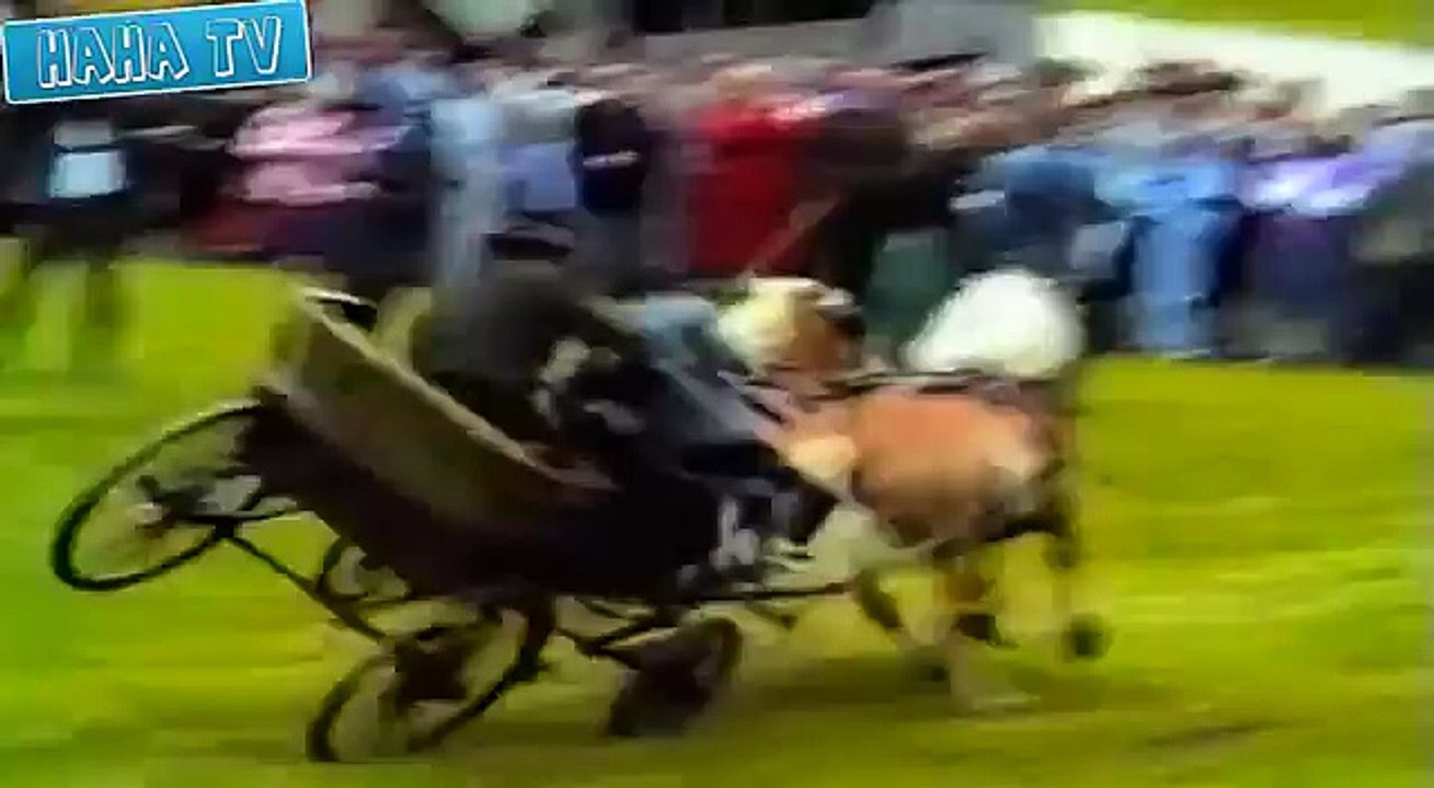 Funny Videos Fail Compilation Funny sports bloopers  funny animals funny women funny babies 2014