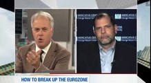 Tyler Cowen Discusses What Might Happen if the Euro Zone Collapses on the Business News Network