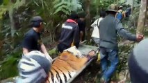 selamatkan hutan belum dan Temengor..khazanah malaysia yang tidak ternilai.....