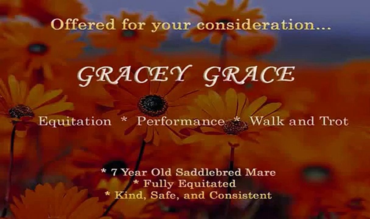 Gracey Grace - SOLD