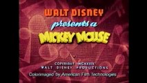 Mickey Mouse: Wild Waves (1929).mp4