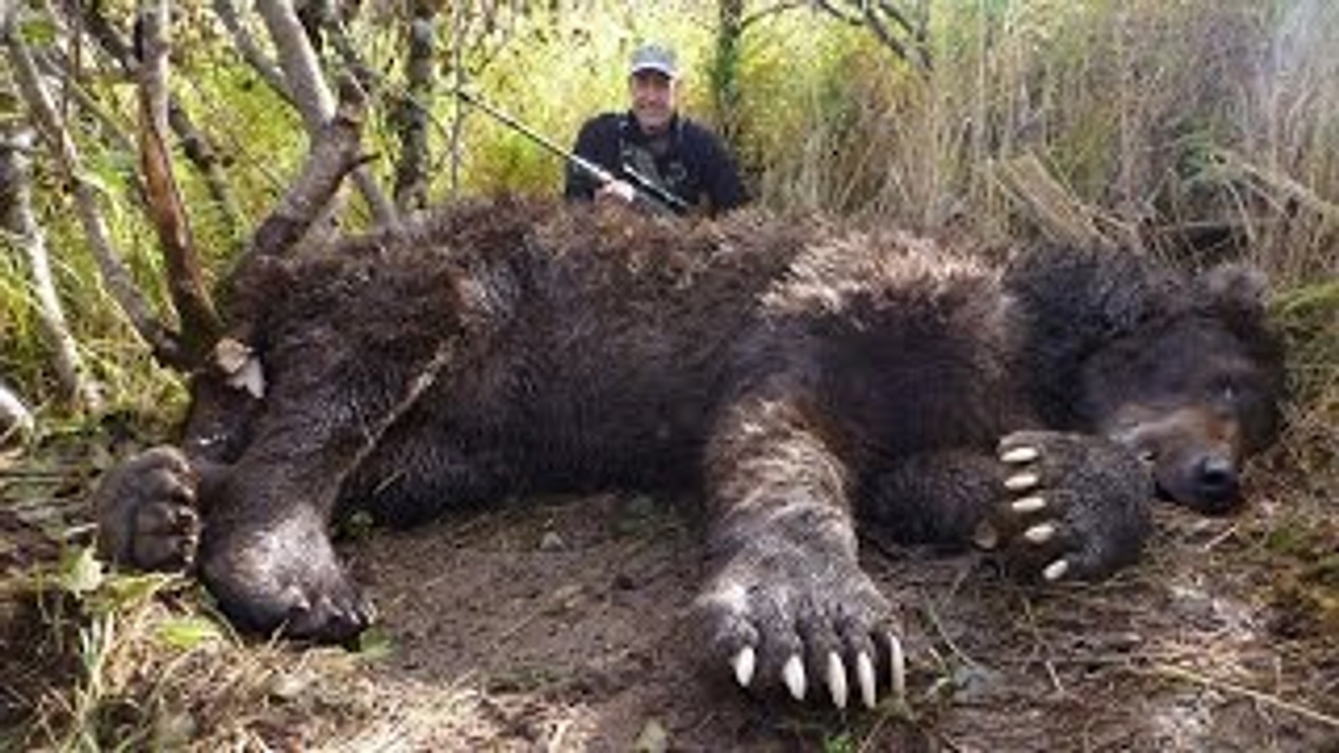 ⁣World's Biggest Animals All Time | TOP 10 Biggest Animals| Huge Animals