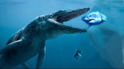 Top 5 BIGGEST Animal Mysteries EVER