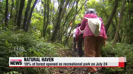 Gotjawal Park, a natural forest on Jeju's volanic rocks