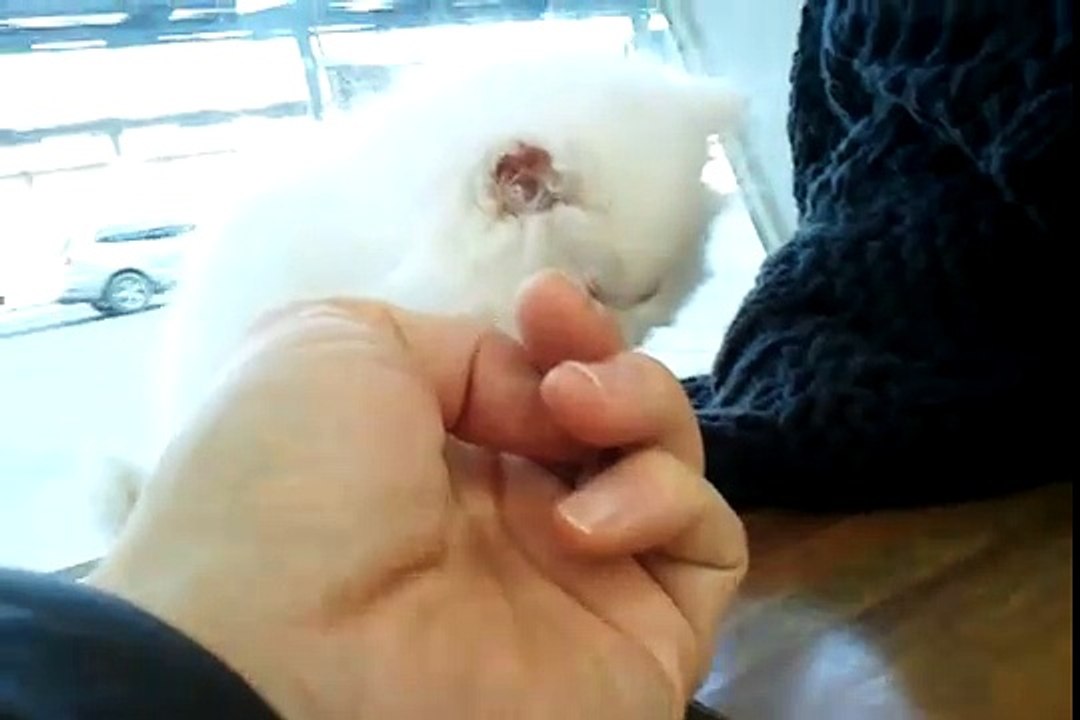 2011년3월7일 울산역에 서울이모 마중하러 나갔다가 기다리던 중에...