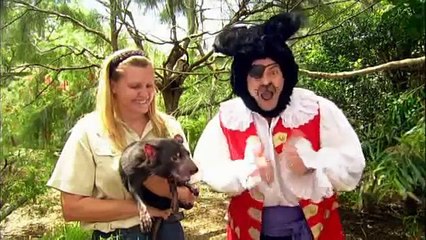 The Wiggles - Tassie Devil