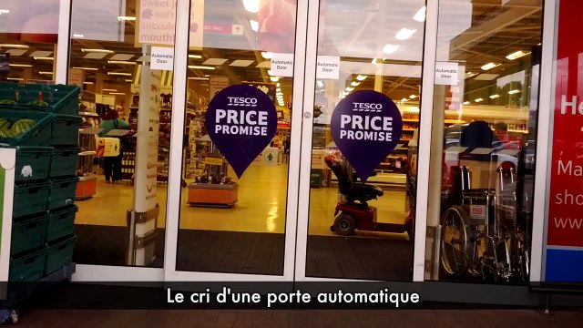 Zapping Zap - Hors série été #1