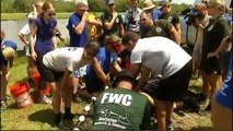 FWC rescues manatee stuck in bayou