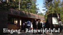 Baumwipfelpfad 360° Rundumausblick vom 44 Meter hohen Baumturm Nationalpark Bayerischer Wald