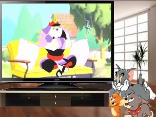 Tom And Jerry Cartoon Kungfu action tales