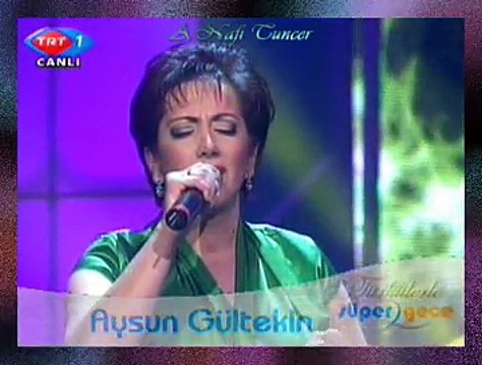 Aysun GÜLTEKİN *Erzurum Dağları Kar İle Boran*