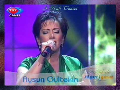 Aysun GÜLTEKİN *Erzurum Dağları Kar İle Boran*