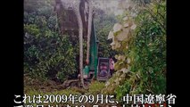 【衝撃】体長１７ｍというありえないデカさの超巨大ヘビが中国で捕獲された【閲覧注意】巨大生物・未確認生物（UMA)・古代生物・謎の生物紹介チャンネル