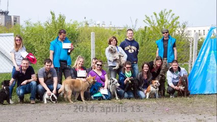 Ügyes 2 osztály - 2014. június 29.