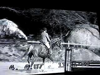 Nevez 6 avril 2007 Nymphéa des Ifs