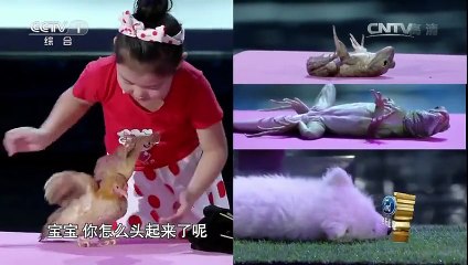Chinese Girl Who Can Hypnotize Animals