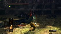 Dark Souls - Artorias Boss Battle PC